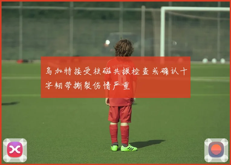 乌加特接受核磁共振检查或确认十字韧带撕裂伤情严重